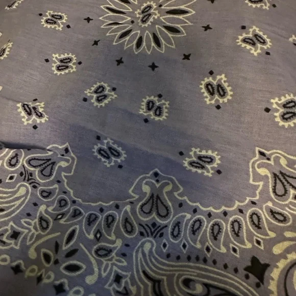 YASHICA PAISLEY PRINT SCARF - Picture 7 of 7